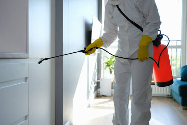  Longview, WA Mold Removal Pros